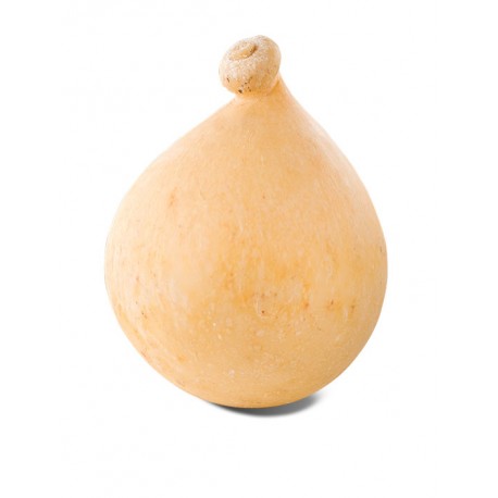 Caciocavallo Stagionato kg2